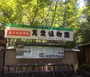 萬葉植物園.jpg