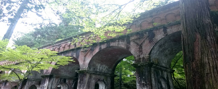 【京都】緑を愛でるぼっち寺社巡り①