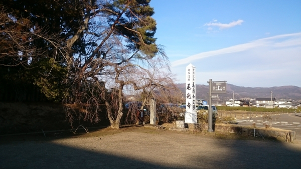 毛越寺　看板.JPG