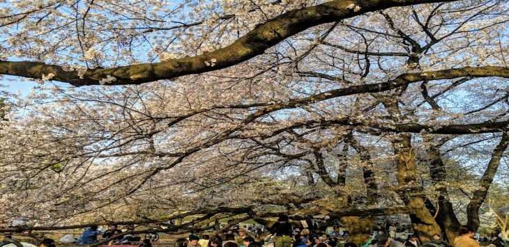 【東京都】砧公園